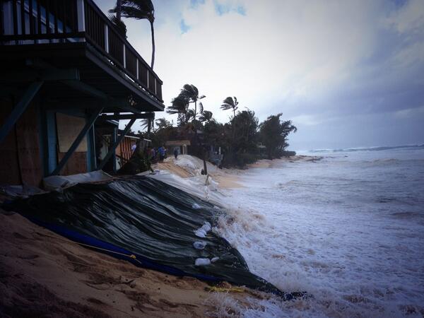 Surfline tweet media