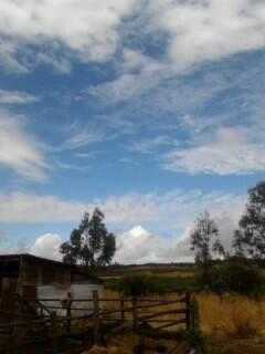 robertbello19's tweet photo. #Chaolluvia !!!! :( t extra?are a ti y tu grandes gotas :3 http://t.co/91bBngHUXO