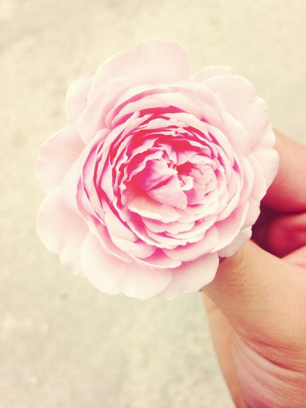 bellaofficial13's tweet photo. I love singapore💕 http://t.co/u6jGrIIU6K