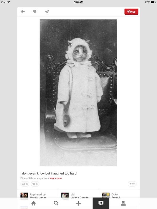 Katie Powell tweet media