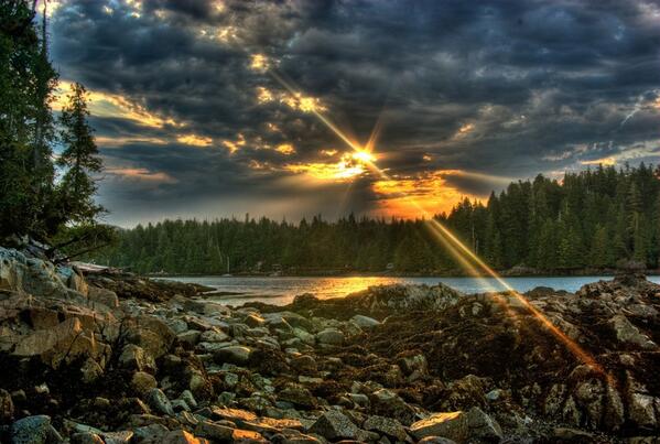 HelloBC's tweet photo. This great Vancouver Island pic made it to @mashable today... but where is this? Anyone know? http://t.co/nUAj80hgPi http://t.co/vhaJu2IAls