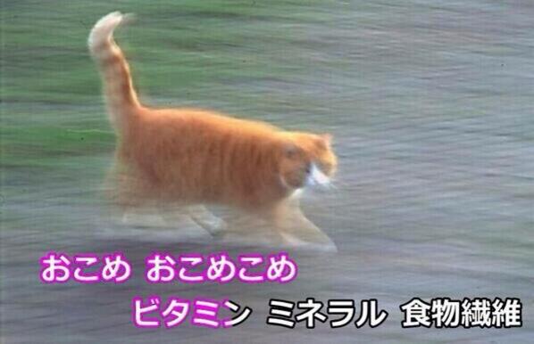 元気出る画像 Na Twitterze