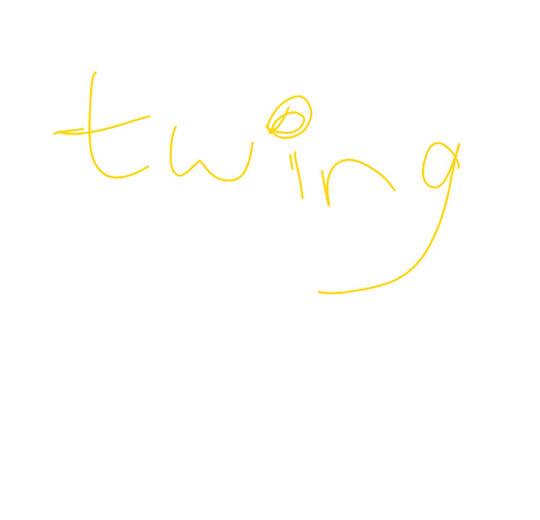 Twig
