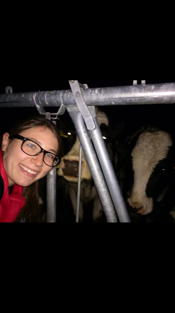 SASHA_UofC's tweet photo. @OfficialLangill #interspeciesselfie #cows #danger the danger isn't even joking, had to turn my back on angry cows http://t.co/Prkr1eBwXb