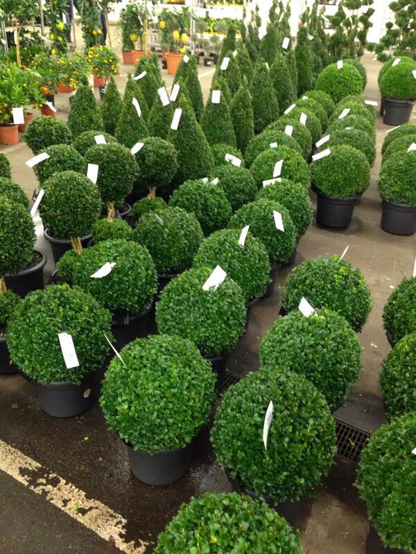 ZimeDesign's tweet image. SPECIAL OFFER #Outdoor #BoxBalls £29.99 each or 2 for £50.00