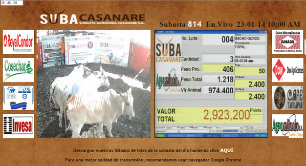 Subacasanare's tweet photo. Subasta 814 en desarrollo... http://t.co/TuMC1iWKSE
