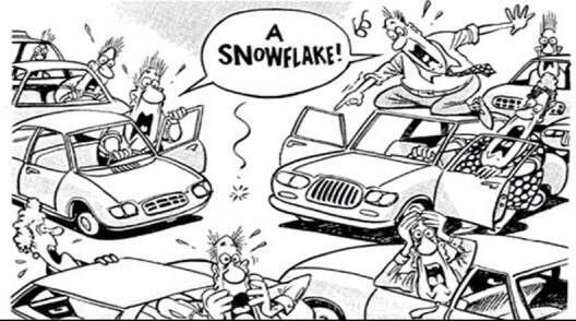 cajunhumor's tweet photo. It may start snowing in Louisiana this evening...let the mass hysteria begin! http://t.co/T9sFElIgQw