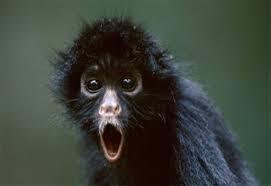 _NoFollowBack_ tweet picture