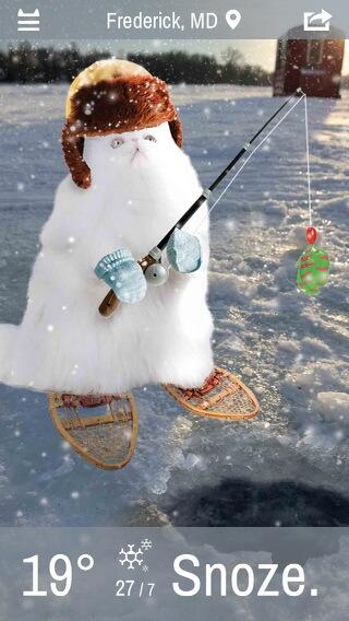 Probably the best weather app ever. It's weather, but with cats!! http://t.co/lG0tffSnYv<a href="/tag/nofiltershow"class="tags"><span>#nofiltershow</span></a>