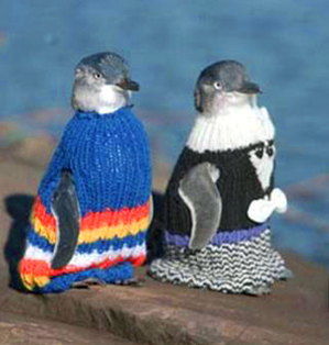 PenguinADay's tweet photo. Tiny, chilly pengys out for a stroll. http://t.co/VKwUhI1yHJ
