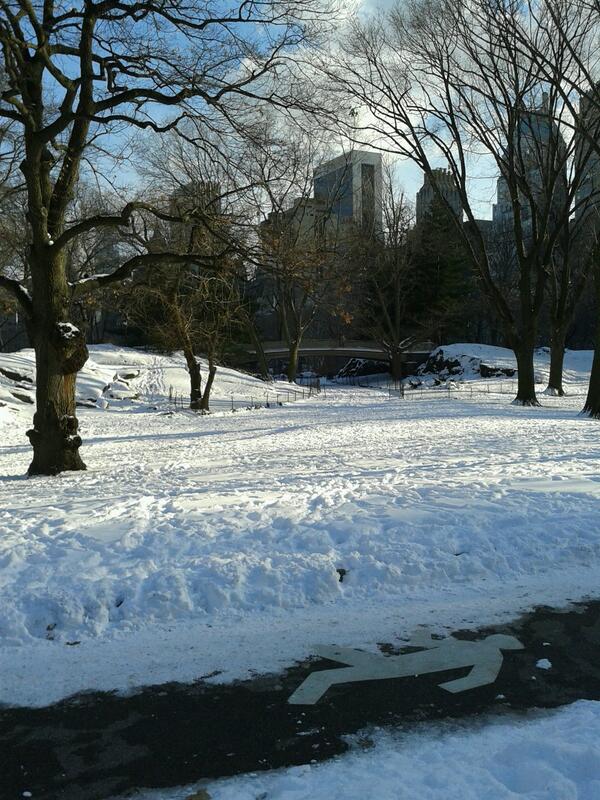 rossclrdglasses's tweet image. We were a fierce &amp;amp; frosty few walking in #CentralPark today #belowfreezing #chasingsunlight