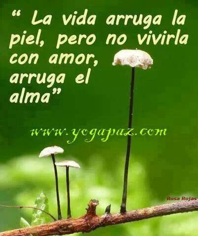 BezChristian's tweet photo. http://t.co/bANAe5l7yL