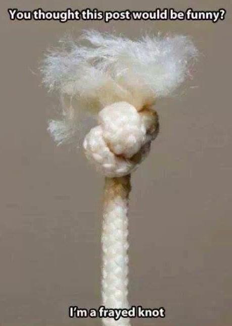 calsdoherty's tweet image. HAHAHAHAHA