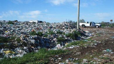 JProLaMatanza's tweet photo. En nuestro distrito la basura es un problema que enferma! nuestra agenda verde, la solución... http://t.co/bNmOEro0Jc