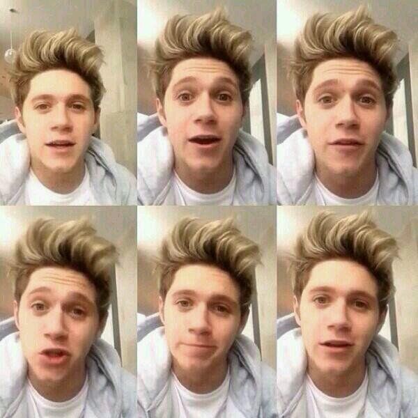 I swear I have seen nothing cuter