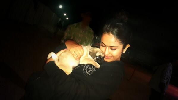 Embedded image permalink