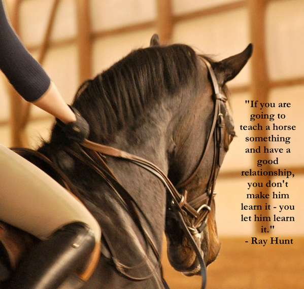 OutSideInStable's tweet photo. Inspiration from Ray Hunt #horsemanship #learning http://t.co/I5BaG2GZcT