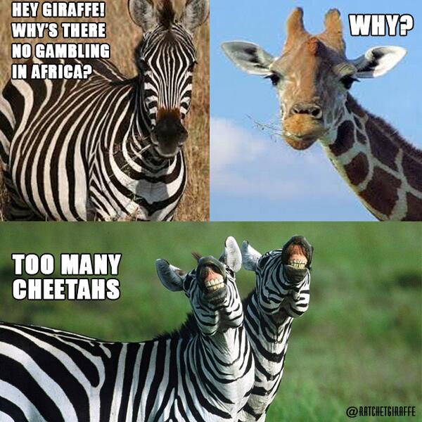 emaritz56's tweet photo. "@RatchetGiraffe: FUNNIEST ZEBRA I KNOW LMAO http://t.co/pV46Abdanz" @cs_dreyer