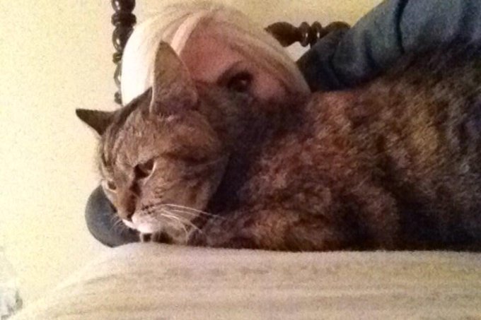 We are fucking awesome. LOL http://t.co/64xNp70mnV<a href="/tag/dead"class="tags"><span>#dead</span></a>