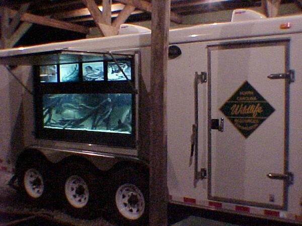 NorthCarolinaEE's tweet photo. MT @NCWildlife  fisheries biologists will be @ Boat&amp;FishingExpo in G'boro  this weekend @ncboatshows http://t.co/lUl57alVst #NCNatureFriday