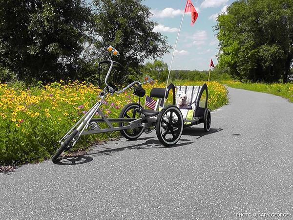 railstotrails's tweet photo. Pic of the Day: @TrailLink user Gary George sent this image of Florida's Four Freedoms Trail #RTCFlorida http://t.co/wTjIiniI7h