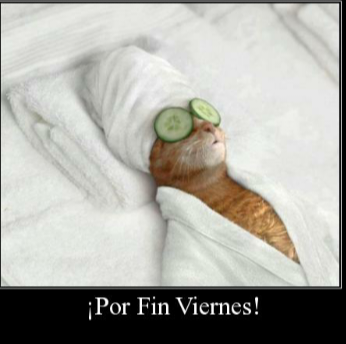 Tamisanfer's tweet photo. POR FIN VIERNESS !! http://t.co/os3ldRLPUv