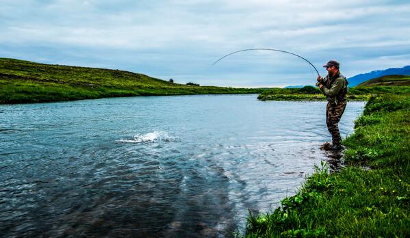 AnglingIceland's tweet image. How about some salmon fishing!!! Fly rod in full circle and salmon getting towards landing #salmon #flyfishing