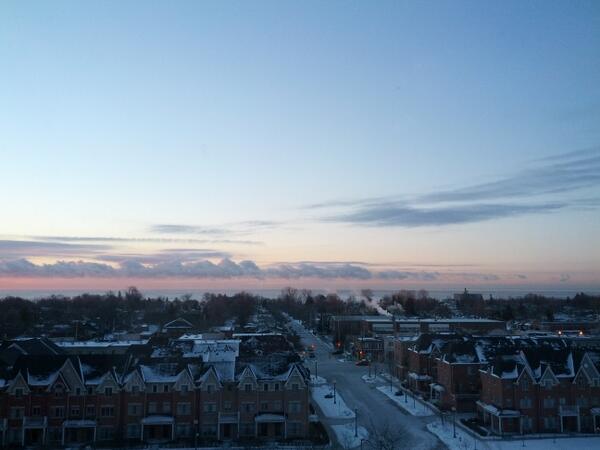 AlexMorganTO's tweet image. My view this morning