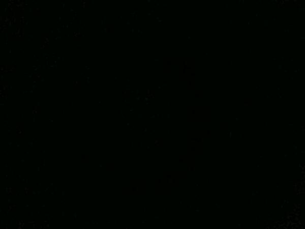 exodous tweet picture