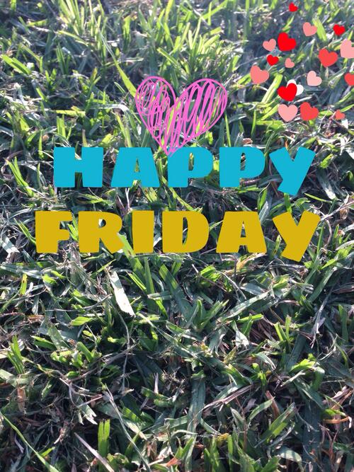 NewFysic Nederland tweet media