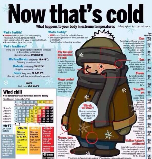 shualerts's tweet photo. How do you react to cold? Find out with this graphic and bundle up to stay warm! #lenawee #extremecold #KeepSHUsafe http://t.co/dVoF93UGnM