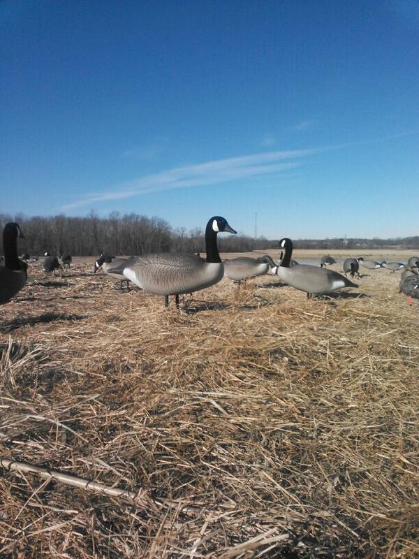 Duke_Jenkel's tweet image. Not gonna lie...I'm about froze to death!  #singledigittemps #15mphwind