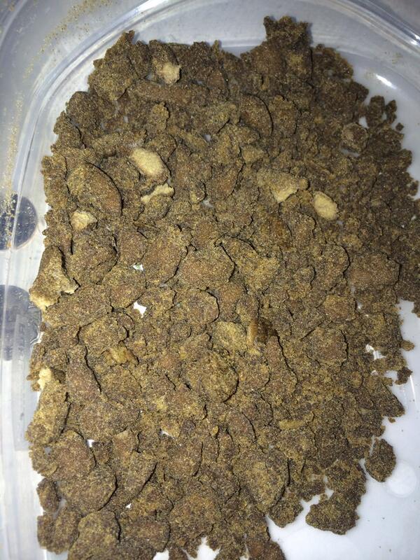 TopShelfFlipper's tweet image. Full melt / ice wax front gag chem dawg