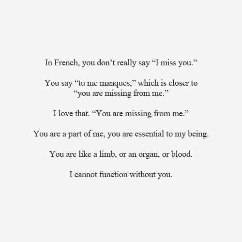 PShahTalim's tweet photo. French is a beautiful language - poetry in the language #french #language #francophonie #AMICIF #frenchway http://t.co/0HeI4IsQDd