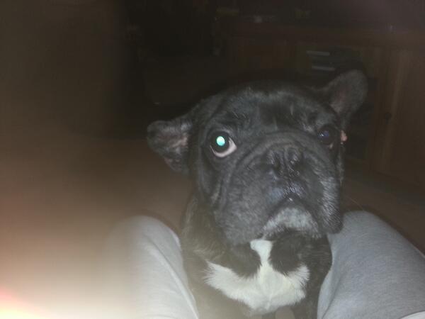 CydSidler's tweet photo. My boys gone love ya fred rip love ya loads xoxoxxox http://t.co/LgXV30LPpR
