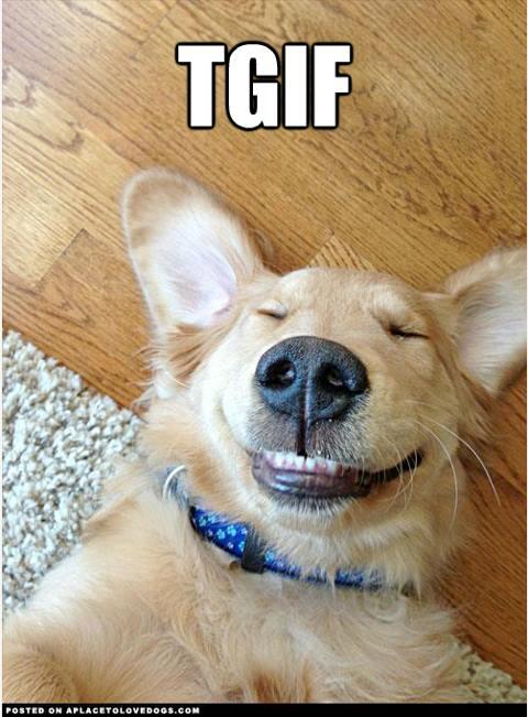 sohungrycom's tweet photo. It's been a Long Cold Week.. time to Relax! Get Food Delivered to You on http://t.co/MwJi7PdekU #TorontoFood #Toronto http://t.co/i6NrEPCGlB