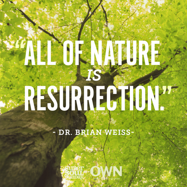 Super Soul tweet media