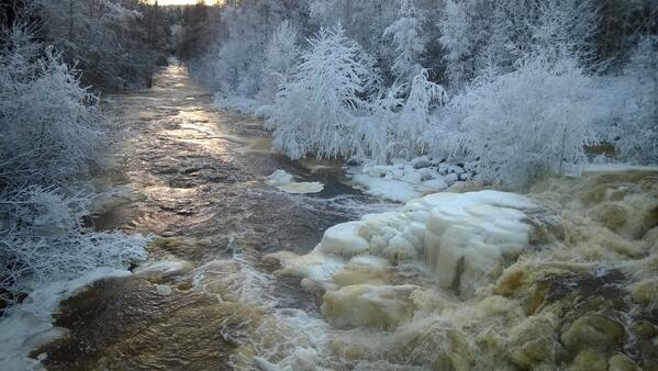 timonassi tweet picture