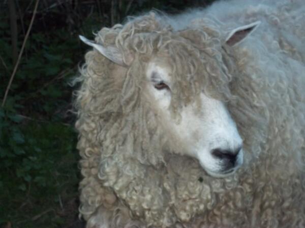 Dom_Bloxham's tweet photo. http://t.co/hrNRZRGBkD