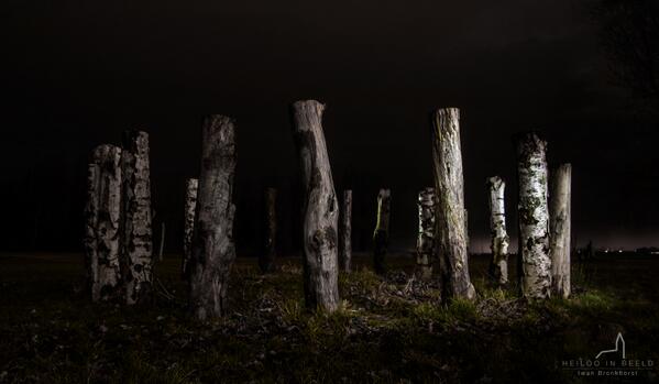 Bron: Iwan Bronkhorst