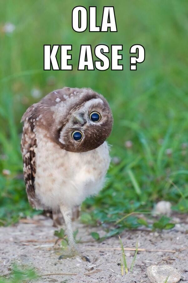 unikero's tweet photo. "Ola ke ase ?" http://t.co/VYvDDIJVFp