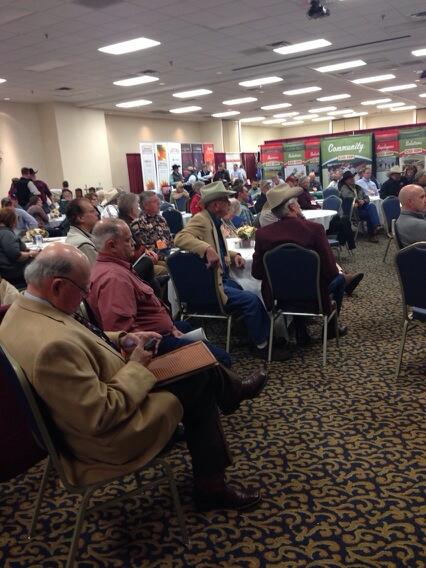 ProactiveDiag's tweet image. Producers at TN Cattlemen's Convention learning from Dr. Hilbig about value-added programs. #cattle