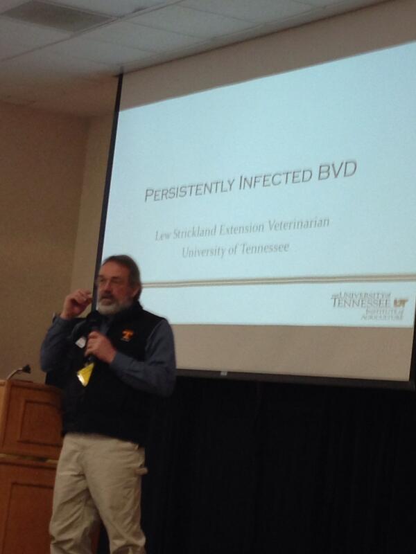 ProactiveDiag's tweet image. TN Cattlemen's Convention. Dr. Strickland talking BVD-PI's.