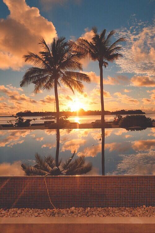 sunsetchasers_'s tweet photo. Beachy paradise http://t.co/CvBdOGOzbw
