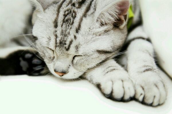bassssl123's tweet photo. @Rt_j20 http://t.co/I0TSQTcXOb