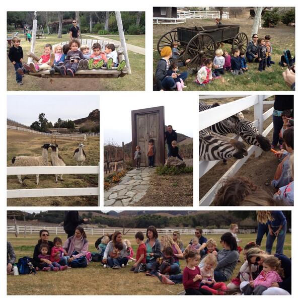 The Early Childhood Center enjoying an amazing field trip to Saddlerock Ranch!
