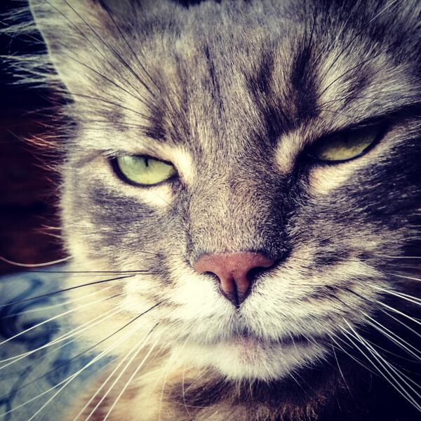 Beth Finley tweet media