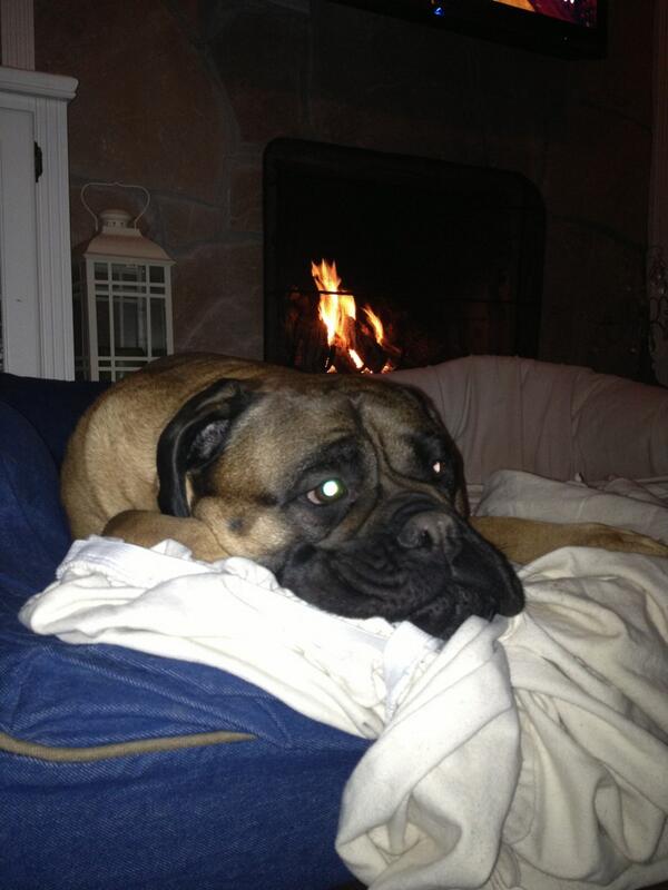 janetnicolson's tweet photo. Warming up by the fire! http://t.co/HgdzlF4AiV
