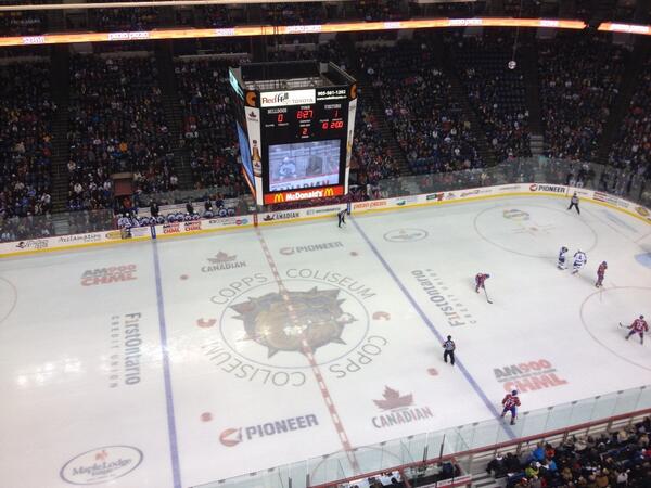 dwillsnhl's tweet photo. A great shot of the great crowd of 9,983 fans @CoppsColiseum for @BulldogsAHL vs. @TorontoMarlies. http://t.co/BLgwMz2l0I