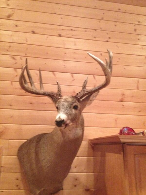Another hanger!!!!